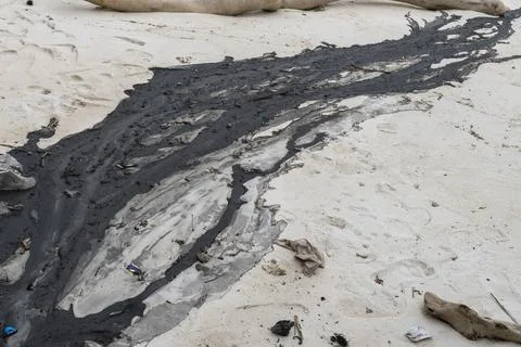 Long log is lying on the beach, with a dark oil drop next to it Foto stock