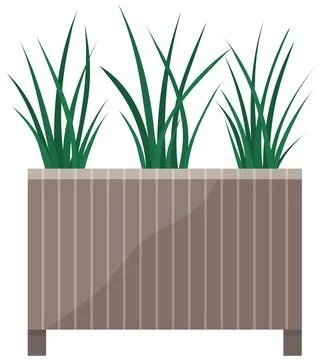 Long, low flowerpot with small green herbaceous plants. Young grass, houseplant Ilustración de archivo
