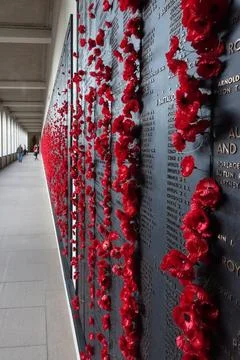 A Long Memorial Wall Adorned with Thousands of Vivid Red Poppies and Engrav.. Stock Photos