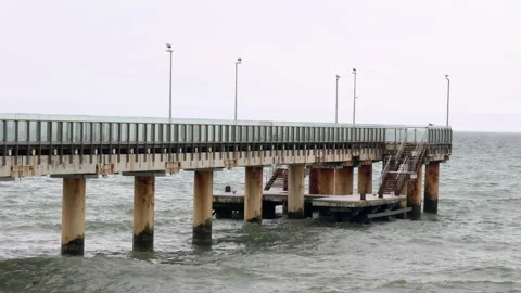 A long metal pier extends into the Baltic Sea, with several seagulls perched alo Video stock 310794080