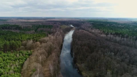 Long narrow river among trees Stock Footage 265758112