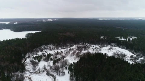 Long narrow river near the forest in winter Stock Footage 265587731
