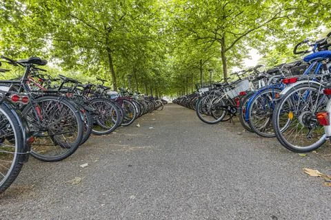 Long, never-ending corridor of a large bicycle parking lot countless bicycles Stock Photos