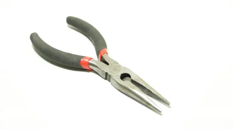 Long nose Stock Footage 26671878