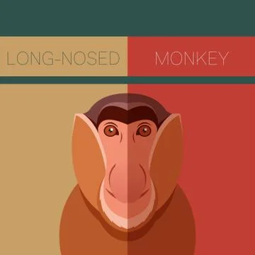 Long-nosed monkey flat postcard Stock Illustration