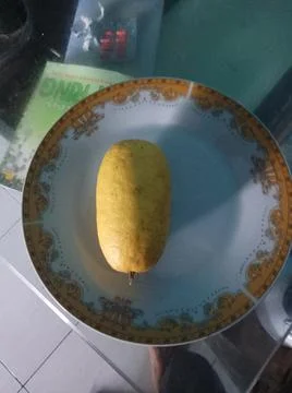 Long orange Foto stock