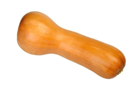 Long orange pumpkin Stock Photos