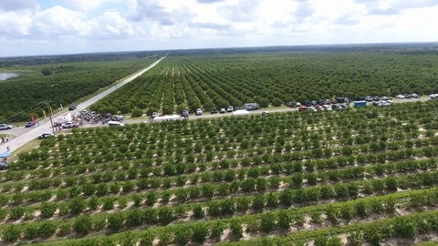 Long Orange Road Video stock 108471943