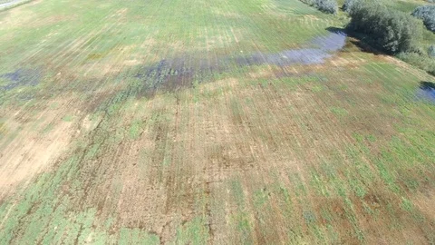Long Pan Over Muddy Field Near Utah Lake Stock Footage 80285224