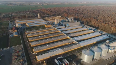 Long panorama of a large industrial pig farm, 4k Vídeo Stock 122072853