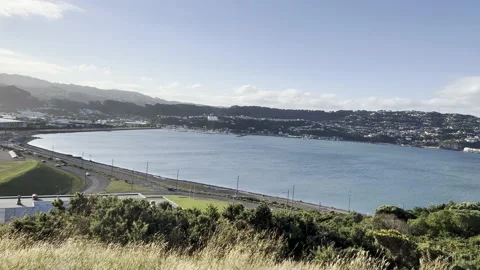 Long panoramic pan over Shelly Bay and Airport Stock Footage 168216142