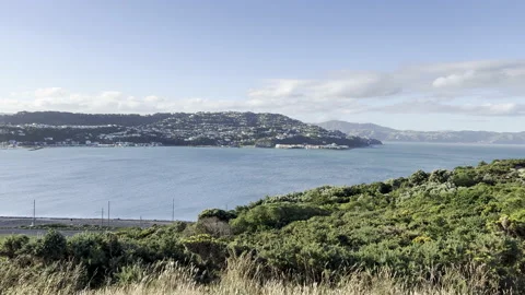 Long panoramic pan over Shelly Bay and Airport Stock Footage 168216224