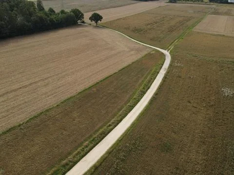 Long path between fields in the landscape Stock Photos