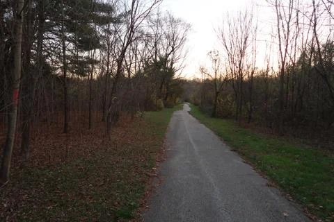 The Long Path Forward Foto stock