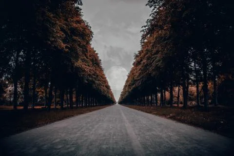 Long path with the moon right between the orange trees and clouds Stock-Fotos