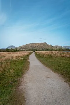 A long path through a wild meadow leading towards a large hill in Scotland Stock Photos