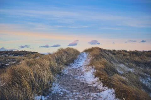 Long Pathway to the beach during evening in winter Stock Photos