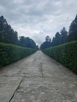 Long Pathway Through Lush Greenery Foto stock