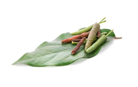 Long pepper isolated on white background Stock Photos