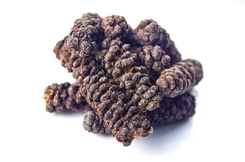 Long pepper on white Stock Photos