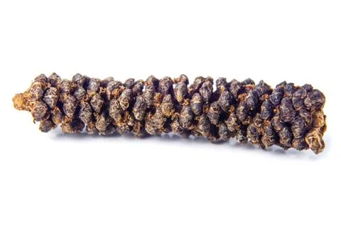 Long pepper on white Stock Photos