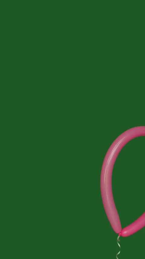 Long pink modeling balloon floating on green screen vertical video. Stockbeeldmateriaal 346281539