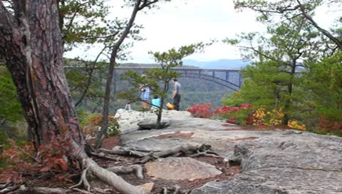 Long Point with people Stock Footage 8840036