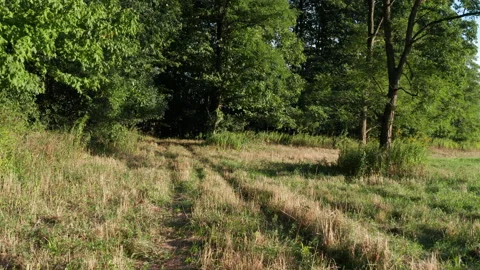 Long point of view walking through field Stock Footage 140404081