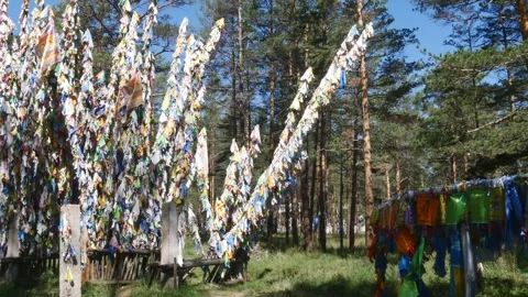 Long poles with Buddhist prayer flags in the forest. Video stock 284047549