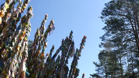 Long poles with Buddhist prayer flags in a pine forest. Stock Footage 284047551