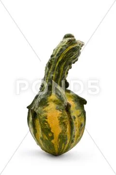 Long pumpkin Stock Photos
