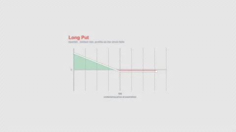 Long Put Options Strategy Payoff Diagram Animation Alpha 4K Видео 339321760