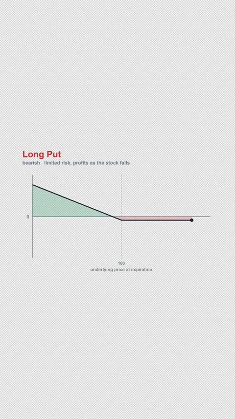 Long Put Options Strategy Payoff Diagram Animation Alpha 4K Vertical 9x16 Light Видео 339507003