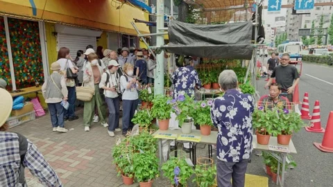 Long Queue Beside Flower Stand on Festival Street, Tokyo Stock Footage 343847037