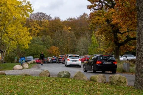 Long queue of cars trying to get a spot at the popular parking lot Foto stock
