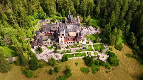 Long queue in front of the entrance to the beautiful castle. Aerial perspective Stock Footage 320833747
