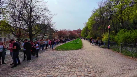 Long queue of people waiting in sunny Czech cobblestone sidewalk in Prague Stock Footage 296746356