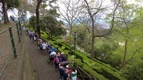 Long Queue For The Toboggan Ride In Madeira Stock Footage 307616750