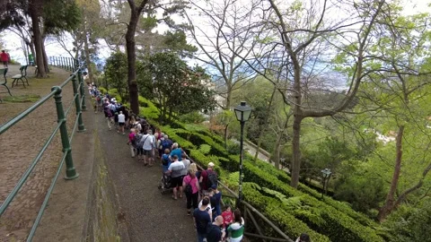 Long Queue For The Toboggan Ride In Madeira Stock Footage 307616757