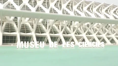 Long queues ahead of Rauw Alejandro concert in Spain's Valencia, Spain, ES - 27  Stock Footage 248876934
