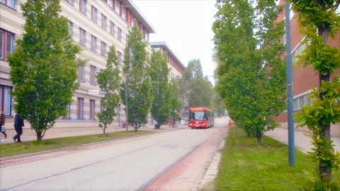 A long red bus driving down a narrow tree lined street between modern Stock Footage 109463644