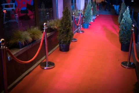 Long red carpet between rope barriers on entrance. Stock Photos