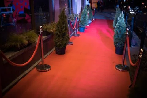 Long red carpet between rope barriers on entrance. Stock Photos