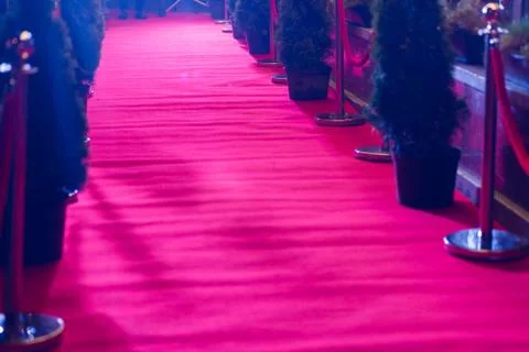 Long red carpet between rope barriers on entrance. Stock Photos