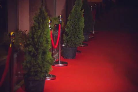 Long red carpet between rope barriers on entrance. Stock Photos