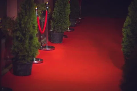 Long red carpet between rope barriers on entrance. Stock Photos