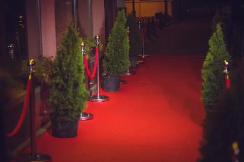 Long red carpet between rope barriers on entrance. Stock Photos