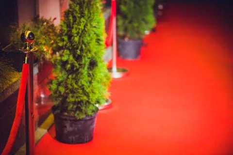 Long red carpet between rope barriers on entrance. Stock Photos