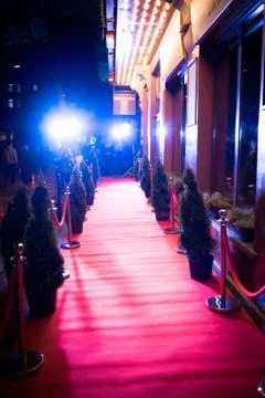 Long red carpet between rope barriers on entrance. Stock Photos