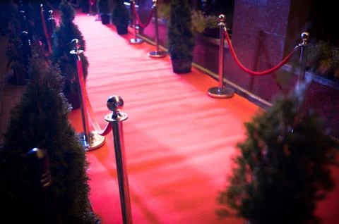 Long red carpet between rope barriers on entrance. Stock Photos